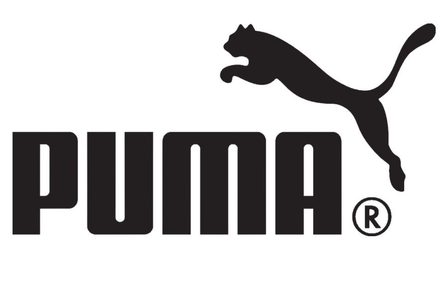 Puma Projeleri